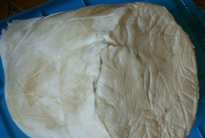 太岁肉的价格了解行情