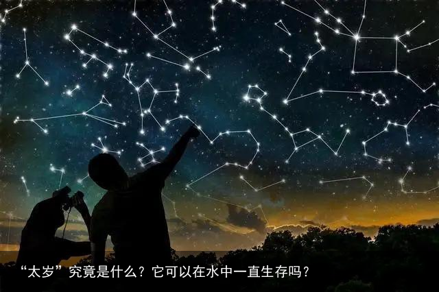 “太岁”究竟是什么？它可以在水中一直生存吗？