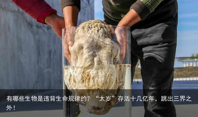 有哪些生物是违背生命规律的？“太岁”存活十几亿年，跳出三界之外！