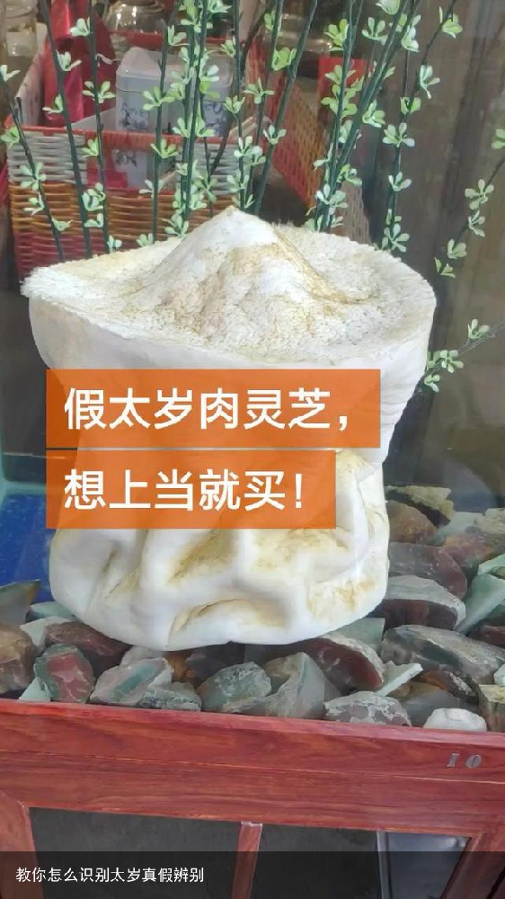 教你怎么识别太岁真假辨别