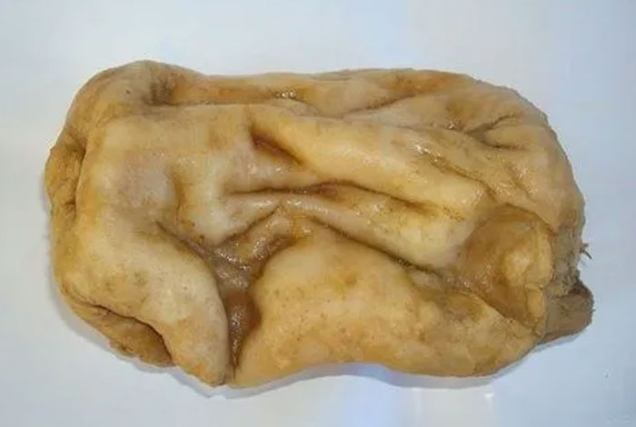 太岁王的功效与作用