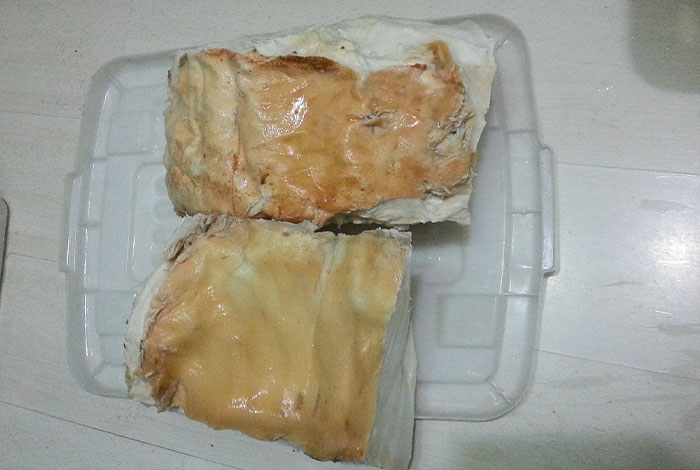 有地方买肉灵芝,肉灵芝在哪里买好一点