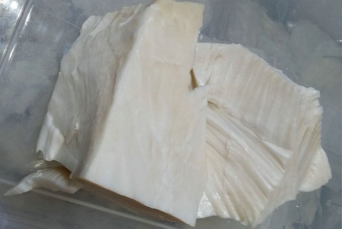 西藏野生小灵芝