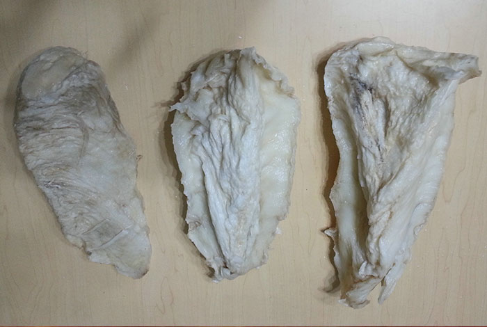 灵芝的作用与功效