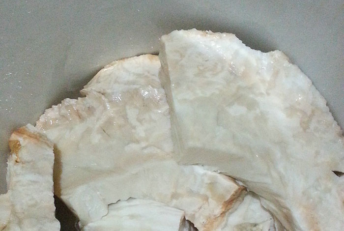 次野生灵芝,野生灵芝价值