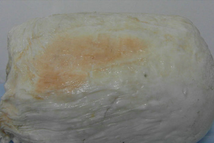 太岁价格怎么样